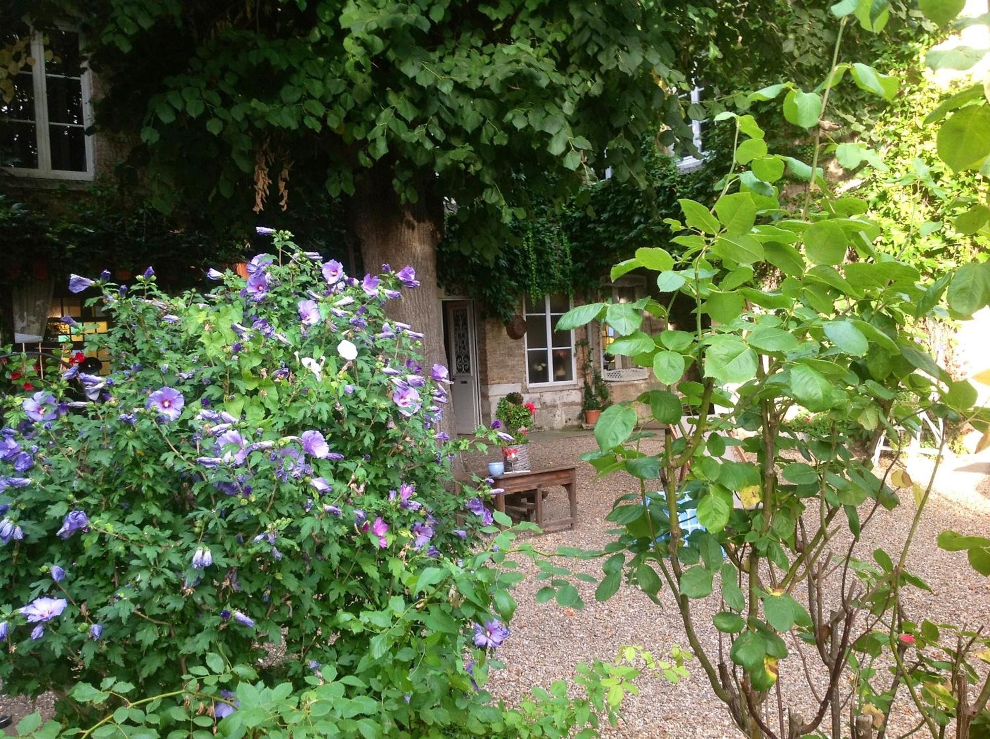 Chambres D'Hotes La Villa Alienor Les Andelys Zewnętrze zdjęcie
